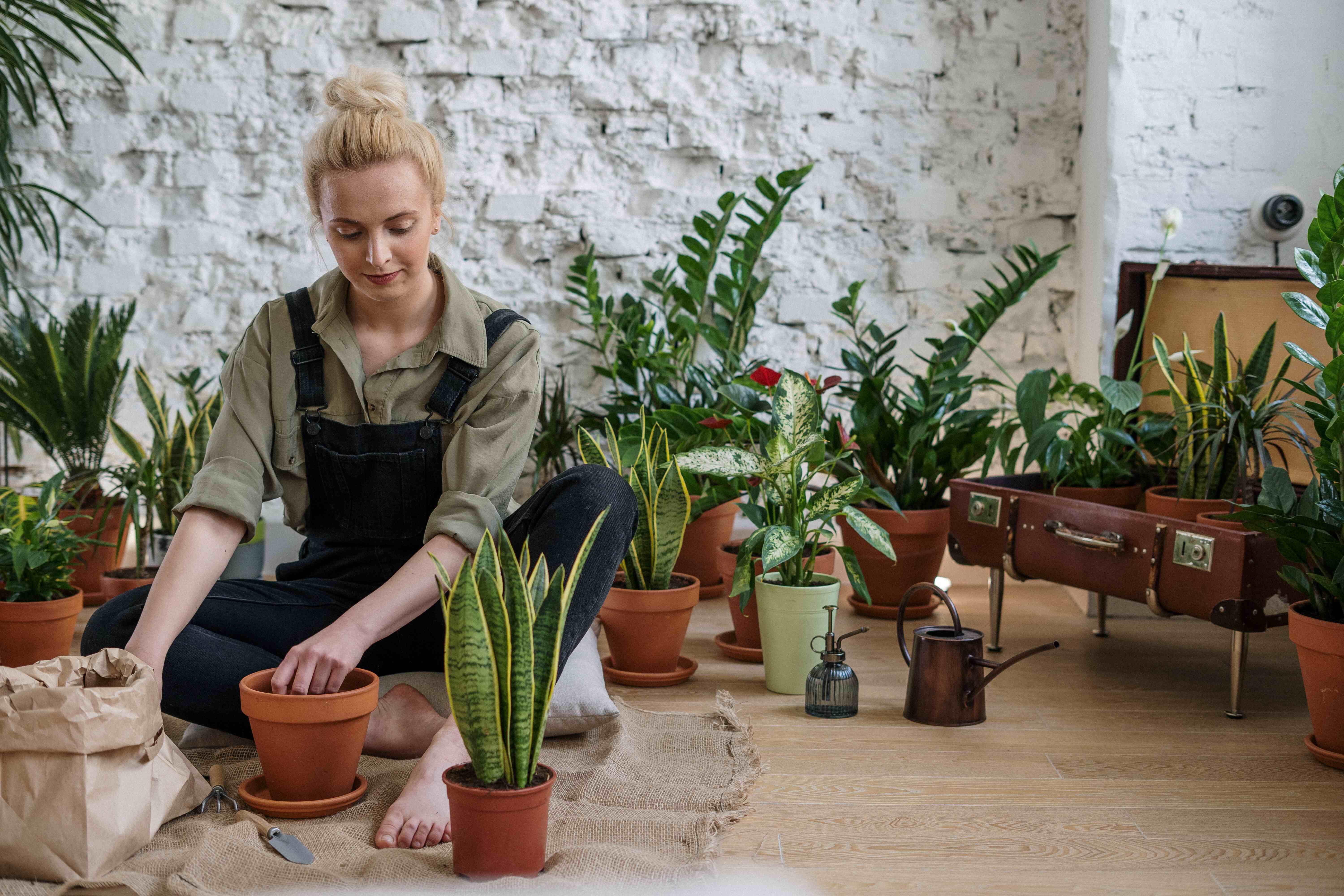 How to Ship Potted and Outdoor Plants by Post or Courier